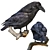 3D Crow Sculpture | 11,554 Polygons 3D model small image 6