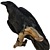 3D Crow Sculpture | 11,554 Polygons 3D model small image 7