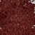 Japanese Cedar Duo: Cryptomeria japonica (Sugi) - 2 Trees 3D model small image 6