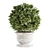 Concrete Pot Outdoor Plants 3D model small image 4
