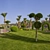 Egyptian Oasis: HDRI Daytime Pool 3D model small image 5