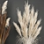 White Reed Bouquet in Vase 3D model small image 2