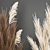 White Reed Bouquet in Vase 3D model small image 3