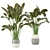 Indoor Greenery Collection - Set 113 3D model small image 1