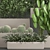 Exotic Plant Collection: Tropical Palms, Cacti, and Bamboo 3D model small image 2