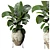 Elephant Fronds Indoor Plants: 3DSMAX 2018 & OBJ File 3D model small image 1