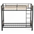 Hiba 2-Tiered Bed with Bases 3D model small image 4