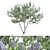 Ceanothus 2013: California Lilac in 3D 3D model small image 1