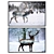 Elegant Art Set: 2 Paintings with 4 Frame Options 3D model small image 1