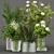 Indoor Pine Flower Bouquet - Collection 268 3D model small image 7