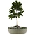 Miniature Bonsai Plant Kit 3D model small image 2