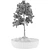 Miniature Bonsai Plant Kit 3D model small image 3