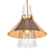 Elegant 12" Aged Brass Pendant 3D model small image 1