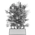 Lush Greenery: Plants Collection 615 3D model small image 5