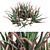 Blue Elf Aloes: Stunning 3D Model 3D model small image 5