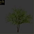 Everlasting Olive Tree 3D model small image 7