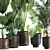 Tropical Plant Collection in Reclaimed Metal Pots 3D model small image 2