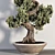 Realistic Bonsai Plant for Closeups 3D model small image 4