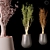 High-Quality 3D Plant Model 3D model small image 2