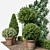 Natural Greenery Set: Boxwood, Dogwood, Ivy 3D model small image 3