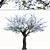 Chanticleer Trees: Elegant Pair for Your Landscape 3D model small image 2