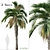 Pair of Spindle Palm Trees (Hyophorbe verschaffeltii) 3D model small image 1