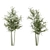 Rustic Charm: Set of Four Outdoor Bamboo Trees 3D model small image 4