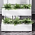 Executive Air Purifying Office Plant 3D model small image 2