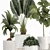 Tropical Plant Assortment with Exotic Beauties 3D model small image 2