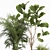 Decorative Plant Collection: Exotic Indoor Plants 3D model small image 3