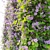 Blossoming Vine Trio: Varied Radii 3D model small image 2