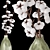 Cotton Bouquet 2015 3D model small image 4
