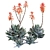 Compact Short Leaf Aloe 3D Model 3D model small image 3