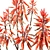 Compact Short Leaf Aloe 3D Model 3D model small image 5