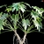 Title: Tropical Vibes: Philodendron Xanadu 3D model small image 2