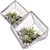 Modern Cube Florarium Kit 3D model small image 1