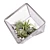 Modern Cube Florarium Kit 3D model small image 2