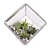 Modern Cube Florarium Kit 3D model small image 3