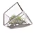 Modern Cube Florarium Kit 3D model small image 4