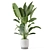 Rustic Indoor Plant Set - Concrete Pot 3D model small image 6