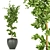 Ficus Leaf - Indoor Plant Collection Vol 299 3D model small image 5