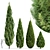 Real Trees Pack: Rocky Mountain, Chinensis Spartan, Taylor, Mediterranean Cypress 3D model small image 1