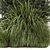 Outdoor Bush Plants Set 213 3D model small image 4