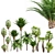 Tropical Palm Tree Collection: 14 Exquisite Varieties 3D model small image 1