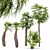 Tropical Palm Tree Collection: 14 Exquisite Varieties 3D model small image 2