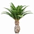 Tropical Palm Tree Collection: 14 Exquisite Varieties 3D model small image 3