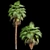 Tropical Palm Tree Collection: 14 Exquisite Varieties 3D model small image 4