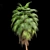 Tropical Palm Tree Collection: 14 Exquisite Varieties 3D model small image 5