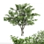  Majestic American Elm Tree 3D model small image 1