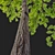 Black Locust Tree: Tall & Sturdy 3D model small image 4